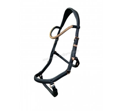 Leather Bridle 